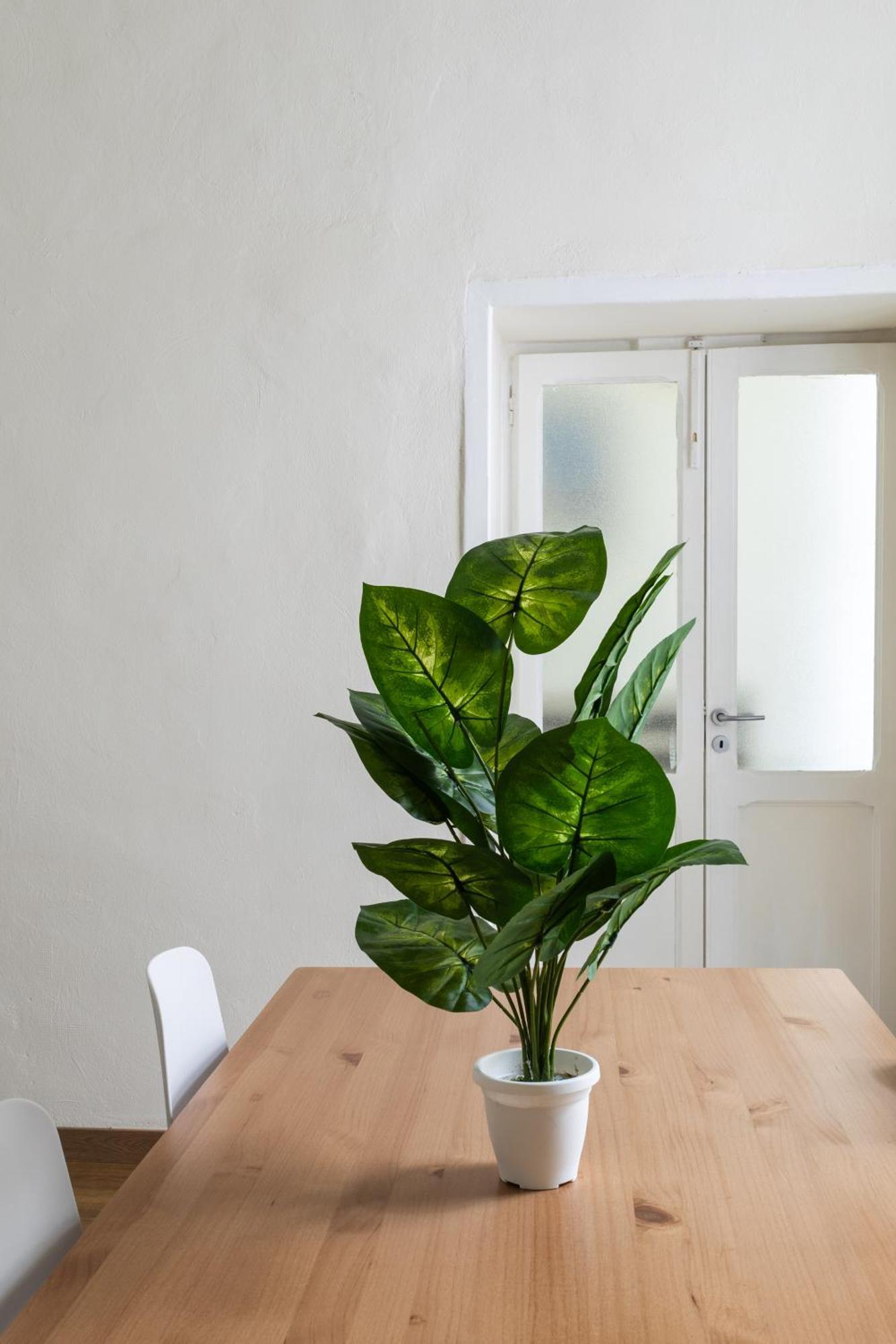 Cozy Historical Flat Napoli Apartment Exterior photo